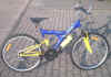 Mountenbike blau gelb Bild1.JPG (478869 Byte)