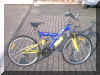 Mountenbike_blau_gelb_Bild1.JPG (478869 Byte)